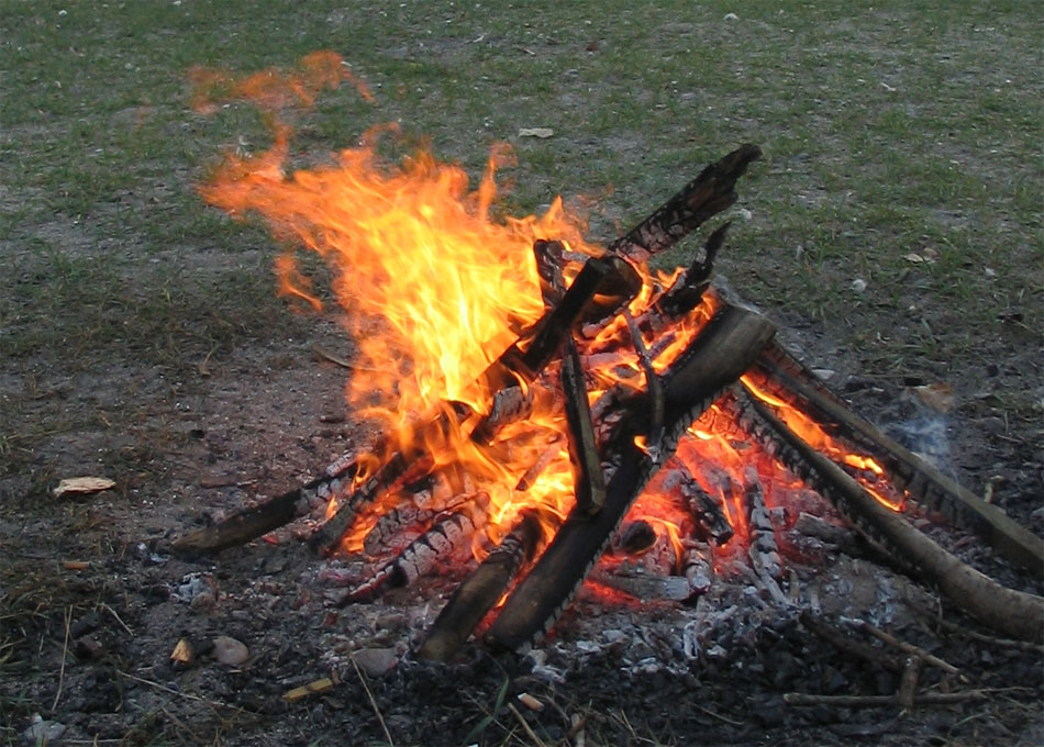 Οι προϊστορικές κοινότητες και η χρήση των δασικών πόρων στην Ελλάδα