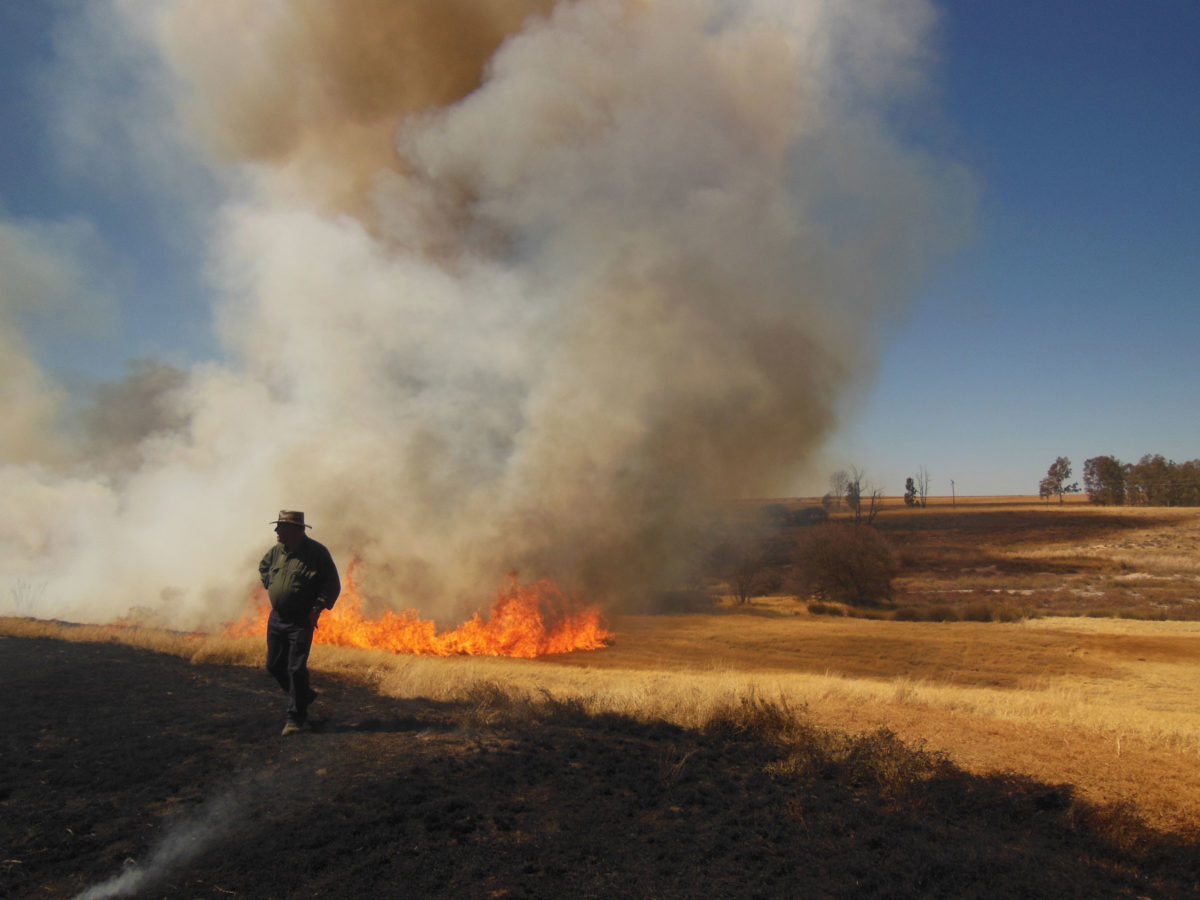 Αυστραλοί Αβορίγινες επιτηρούν τη φωτιά που σκόπιμα άναψαν και χρησιμοποιούν για την πρόσκτηση των φυσικών πόρων της επικράτειάς τους (φωτ.: ΑΠΕ-ΜΠΕ).
