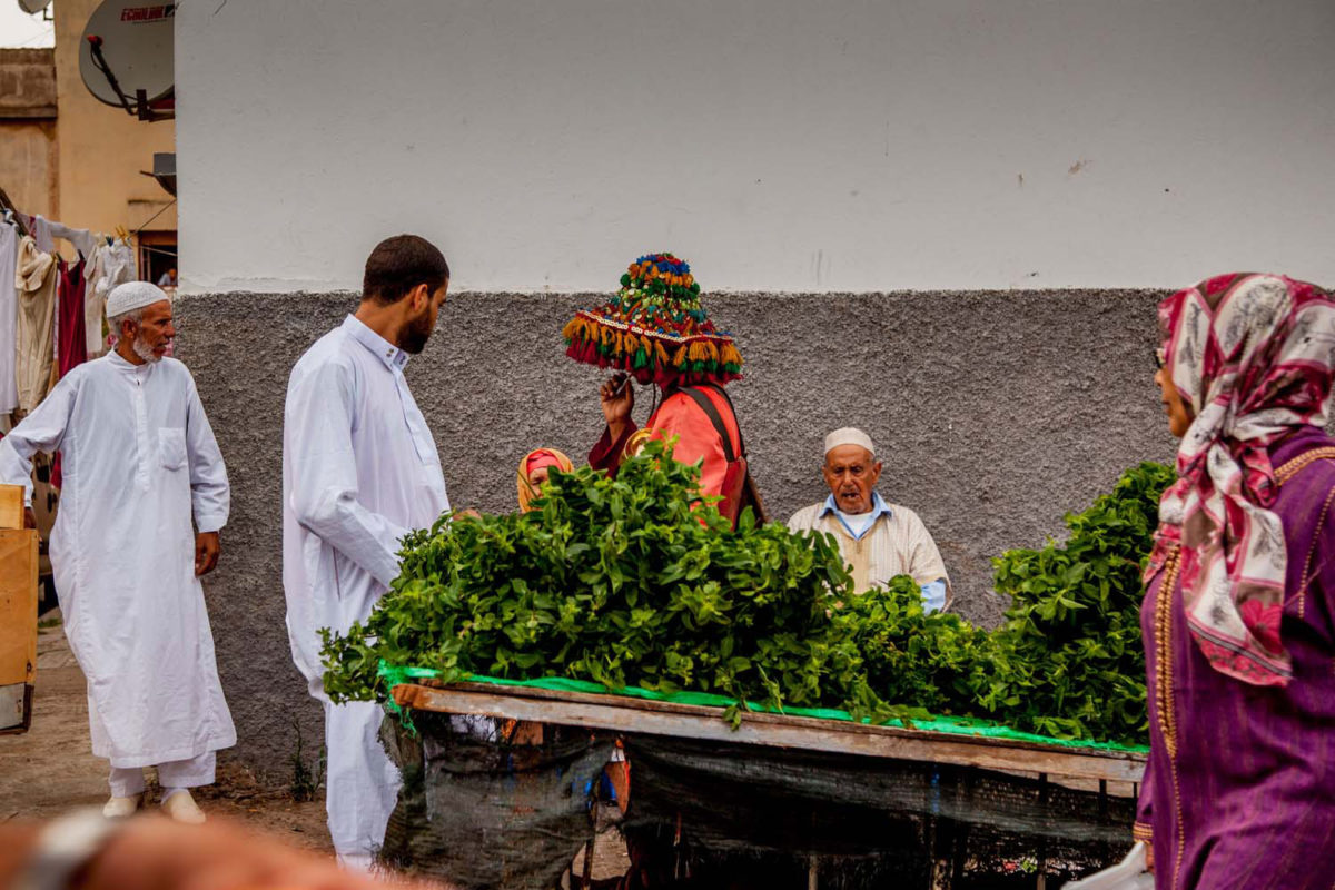 Ένας νερουλάς στέκεται δίπλα σε ένα καρότσι γεμάτο μέντα, απαραίτητη για την ετοιμασία του μαροκινού τσαγιού. Φωτογραφία της Μελίτας Βαγγελάτου.