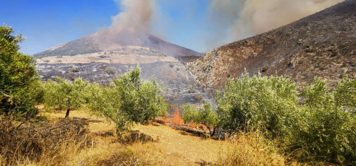 Πυρκαγιά στον αρχαιολογικό χώρο των Μυκηνών (φωτ.: ΥΠΠΟΑ).