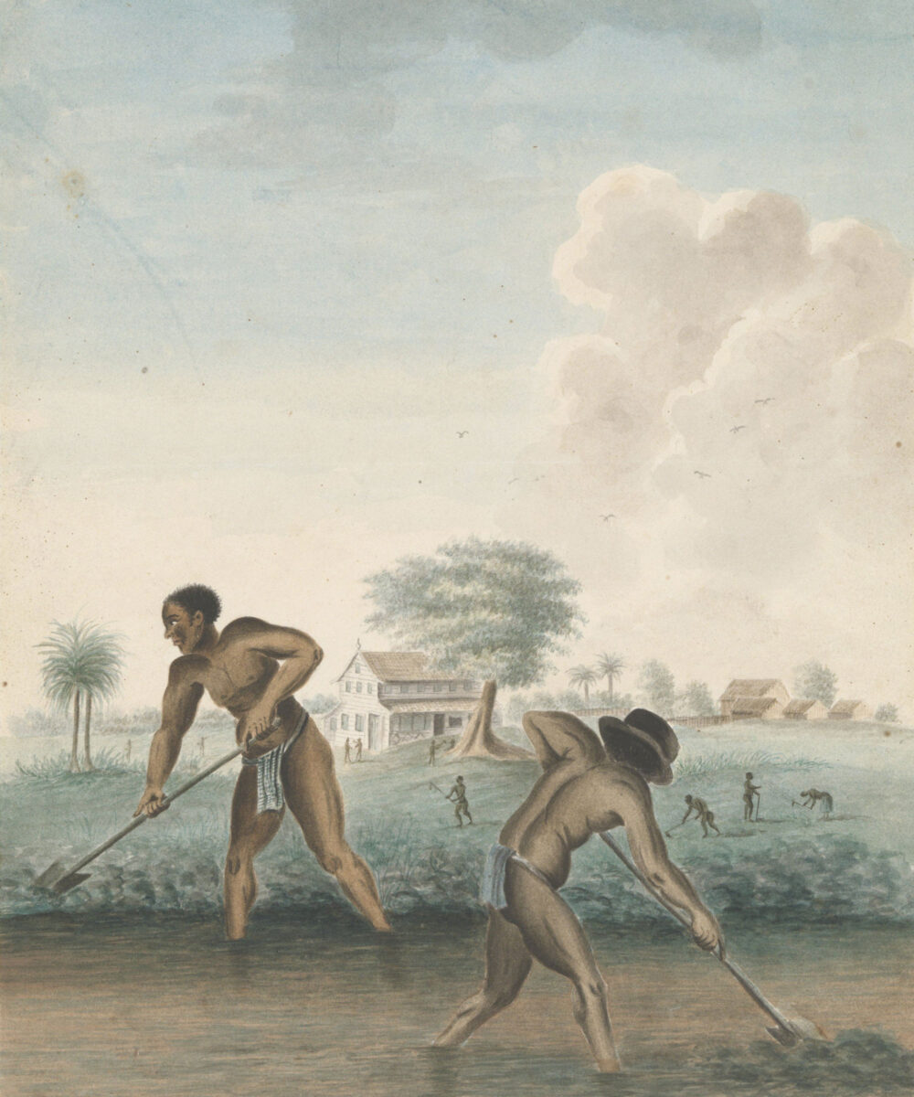 «Σκλάβοι ανοίγουν αυλάκια», έργο ανώνυμου καλλιτέχνη, περ. 1850, Rijksmuseum (φωτ.: Rijksmuseum).
