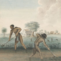 «Δουλεία»: η νέα έκθεση του Rijksmuseum