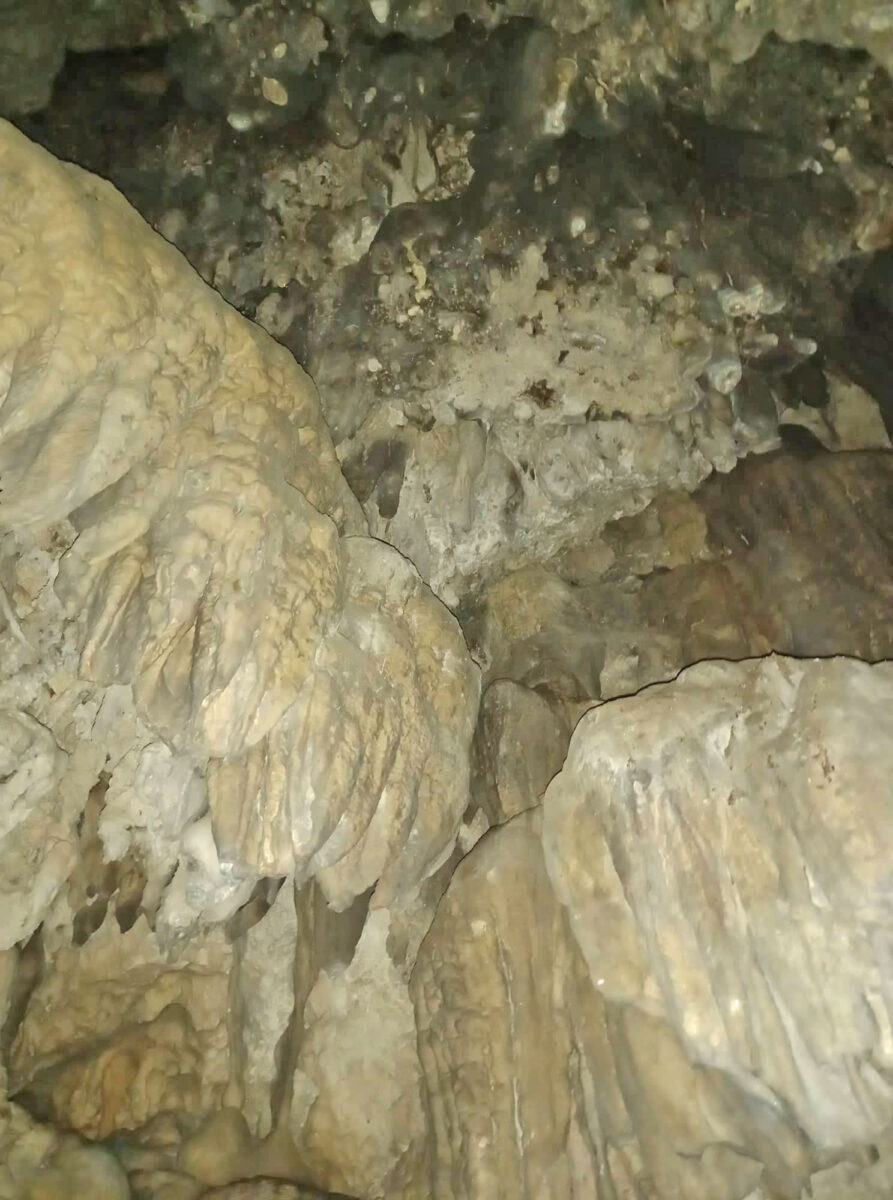 Άποψη του σπηλαίου που εντοπίστηκε στο μονοπάτι Μηναγιώτικο Natura 2000, στη νότια Μεσσηνία (φωτ.: Ινστιτούτο Πολιτισμού Μεσσηνίας).