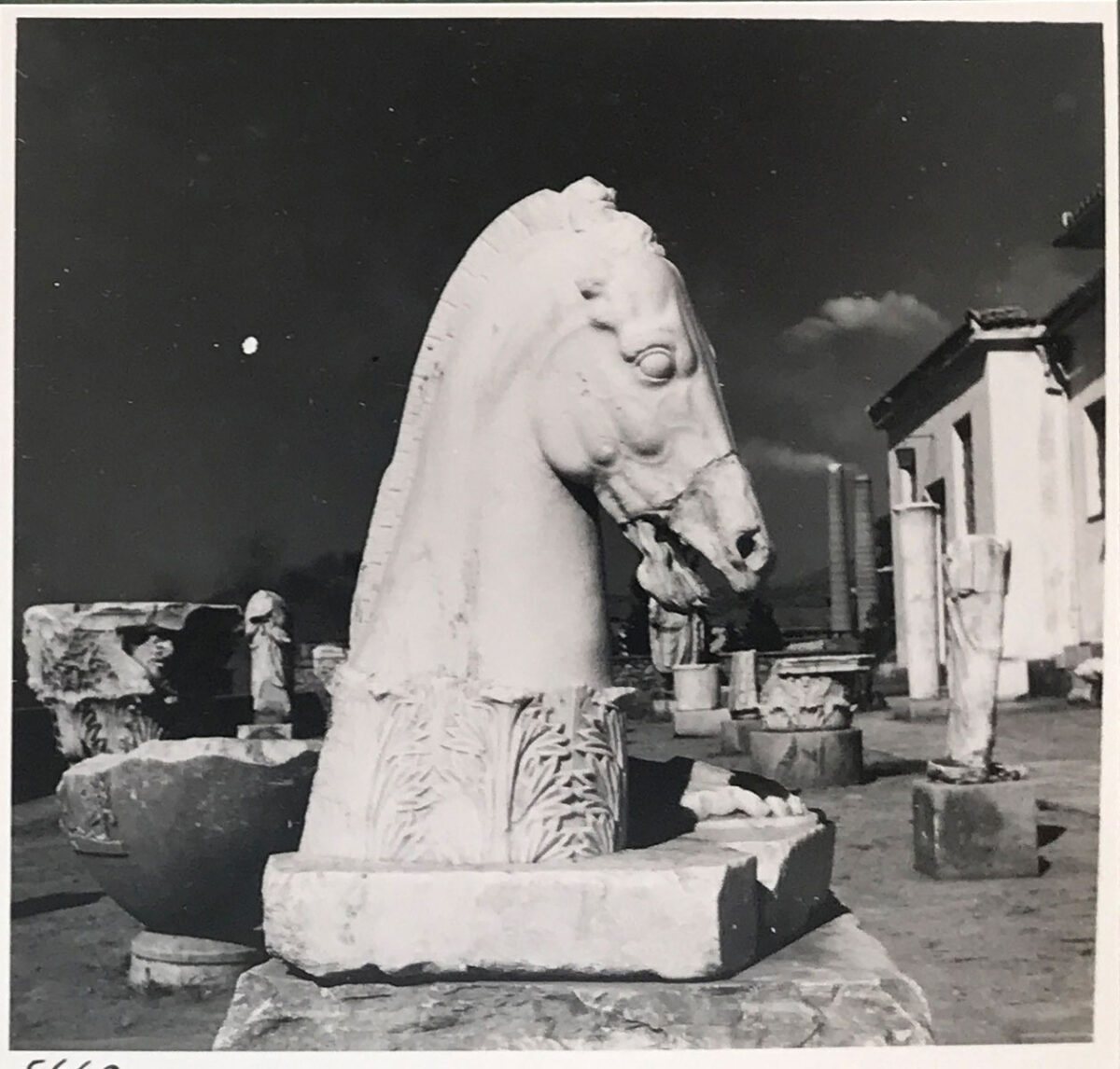 Νικόλαος Τομπάζης. Η αυλή του Μουσείου της Ελευσίνας, 9/9/1955. © Μουσείο Μπενάκη/Φωτογραφικά Αρχεία.