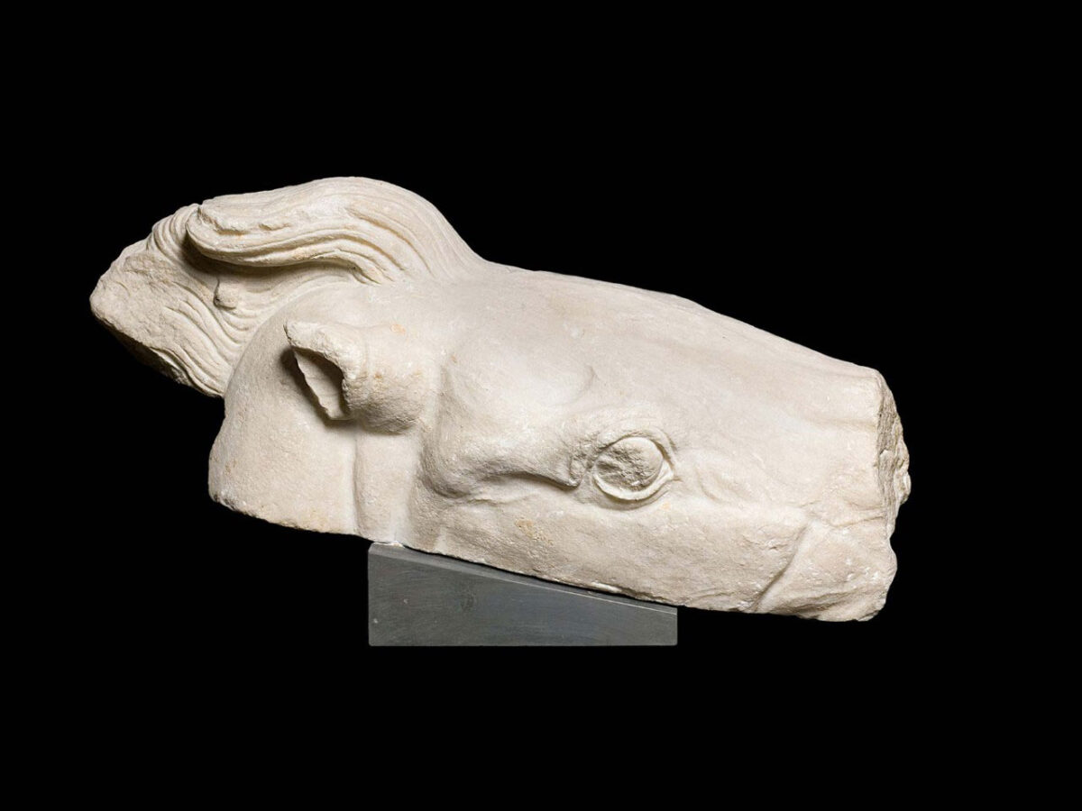 Κεφαλή αλόγου που αποδίδεται στο Δυτικό Αέτωμα (φωτ.: ΥΠΠΟΑ).