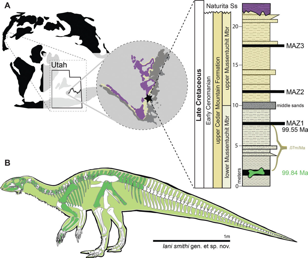 Παγκόσμιος χάρτης που δείχνει την τοποθεσία εύρεσης του δεινόσαυρου και γραφική αναπαράστασή του (με πράσινο χρώμα σημειώνεται το σκελετικό υλικό που βρέθηκε). Credit: Zanno et al., 2023, Plos One, CC-BY 4.0. Πηγή εικόνας: ΑΠΕ-ΜΠΕ.