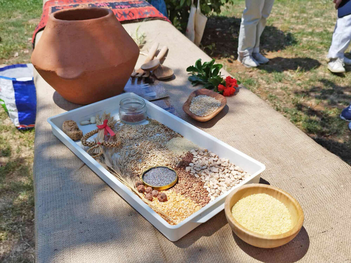Δράση με θέμα «Μαγειρεύοντας με φυτικά συστατικά στην προϊστορική Ελλάδα» πραγματοποιήθηκε στο ΑΠΘ. Πηγή εικόνας: ΑΠΕ-ΜΠΕ.