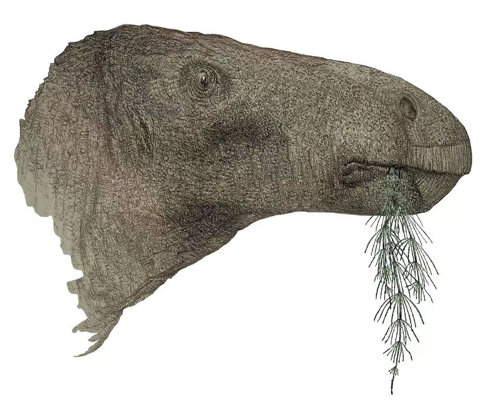 Τα λείψανα ενός χορτοφάγου δεινόσαυρου εντοπίστηκαν στο νησί Γουάιτ